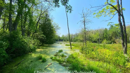 Pinery Provincial Park