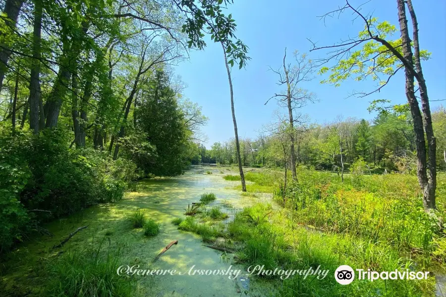 Pinery Provincial Park