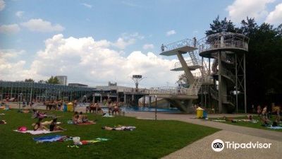 Welldorado (Wels)