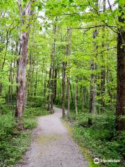 Gallant Woods Preserve