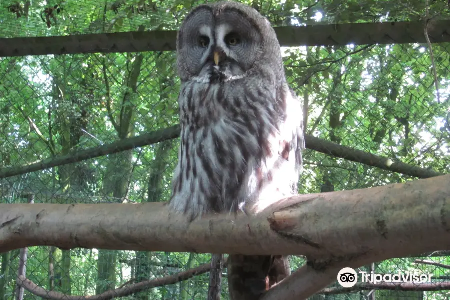 Uilen- en Dierenpark De Paay