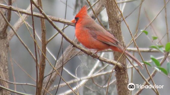 Edwin M. Griffin Nature Preserve