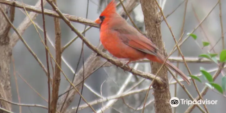 Edwin M. Griffin Nature Preserve