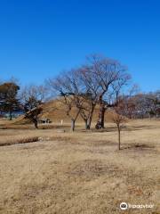 Jinpyeongwangneung Royal Tomb of King Jinpyeong