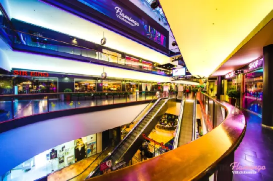 쇼핑 센터 점보-플라밍고