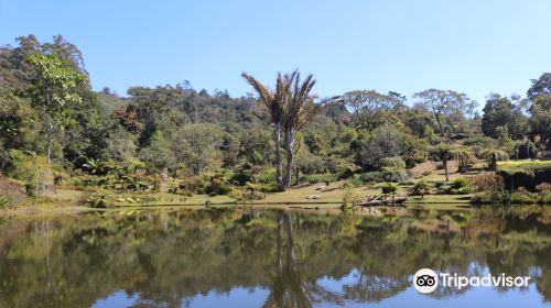 Vumba Botanical Gardens and Reserve