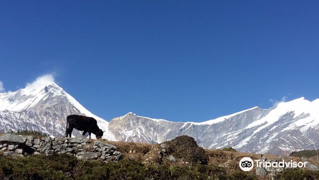 Aroma Nepal Treks & Expedition