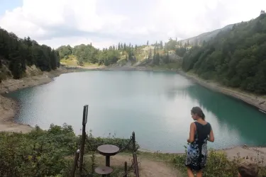 Danisparauli