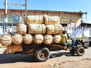 Kalaw Myoma Market