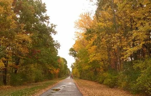 Vestal Rail Trail