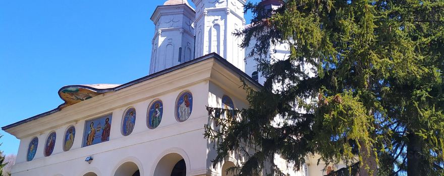 Ciolanu Monastery