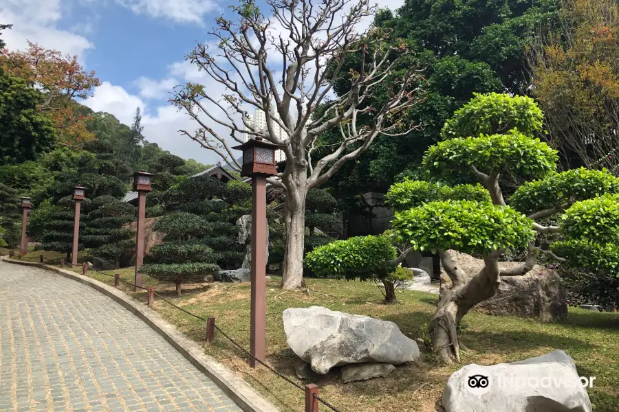 Western Lotus Pond Garden