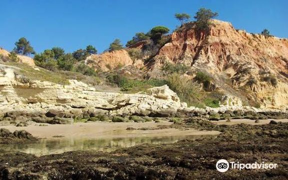 Olheiros de Água Doce