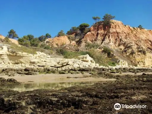 Olheiros de Água Doce