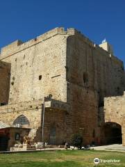 Citadel of Acre