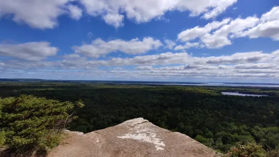 Cup and Saucer Trail