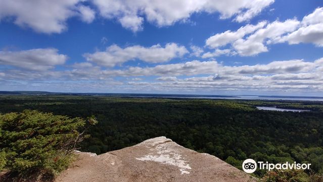 Cup and Saucer Trail