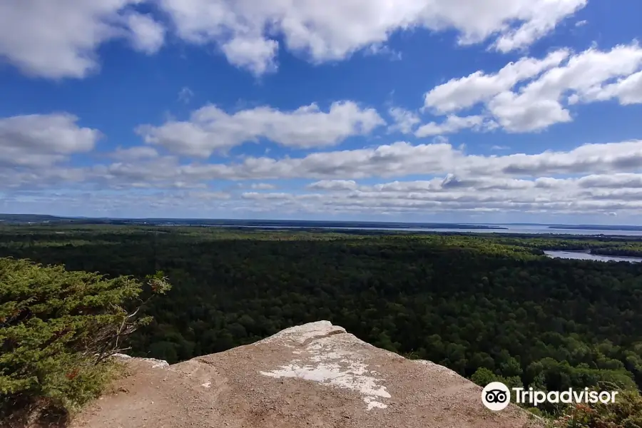 Cup and Saucer Trail