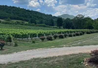 Nottely River Valley Vineyards, LLC