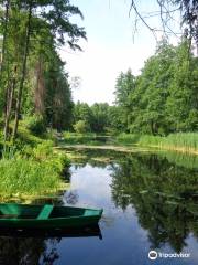 Voronezh State Nature Biosphere Sanctuary V.M. Peskova