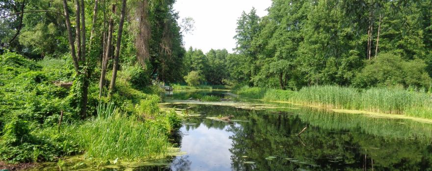 Voronezh State Nature Biosphere Sanctuary V.M. Peskova