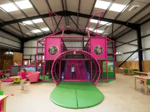 The Pink Pig Farm