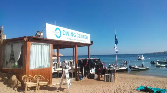 Diving Ocean Makadi Bay