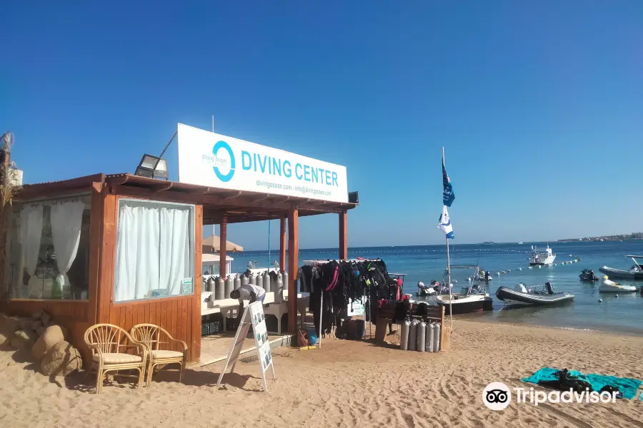 Diving Ocean Makadi