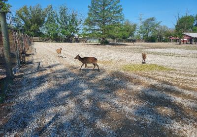 Lagoon Deer Park