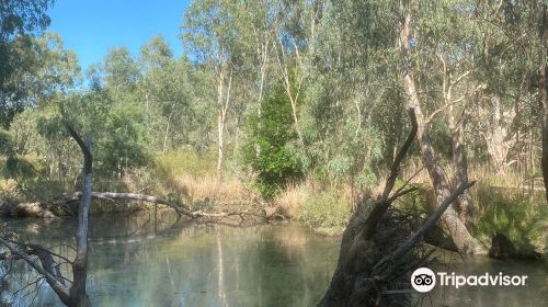 Wonga Wetlands