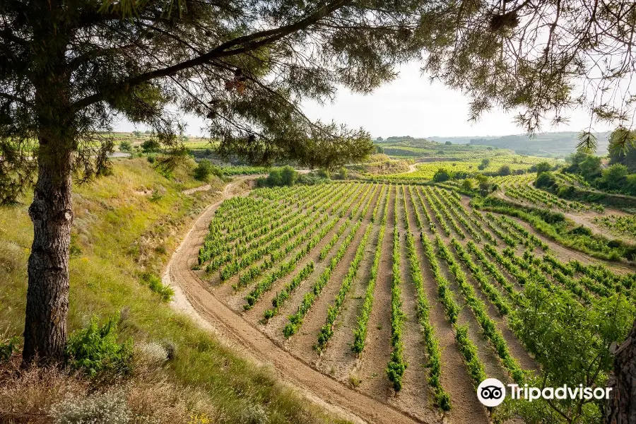 Bodegas Murua