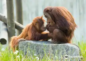 Zoo d'Amneville