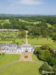 Fota House, Arboretum and Gardens