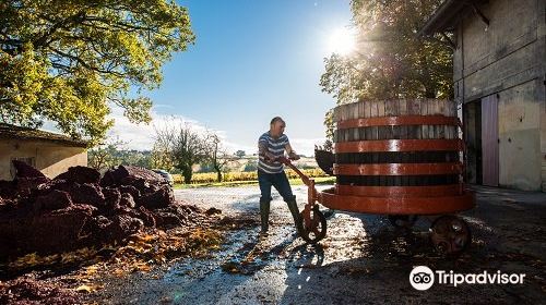 Vignobles Famille Saby