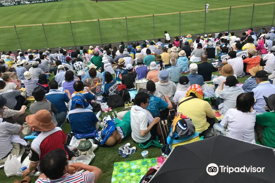 Chiyogadai Baseball Stadium, Hakodate