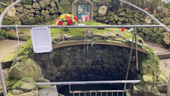 St Mochua's Holy Well Derrynoose