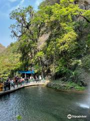 Parque Ecoturístico Cola de Caballo