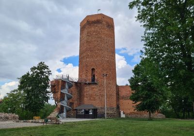 Kruszwica Medieval Castle