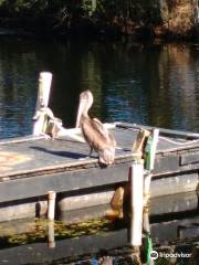 Tom and Jerry's Airboat Rides