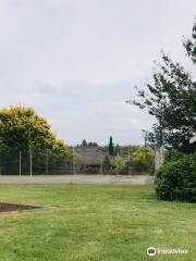 Carrick Memorial Recreation Ground