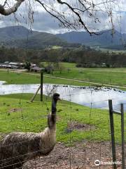 The Red Stag Deer and Emu Farm