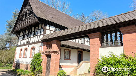 Saint Mary Park of Nancy