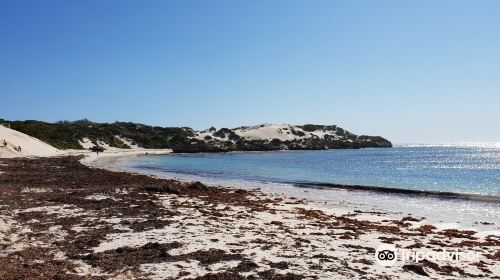 Sandy Cape Recreation Park