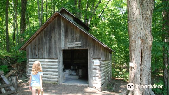 The Farm