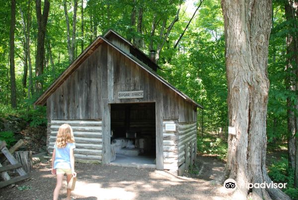 The Farm