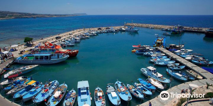 Ayia Napa Harbour