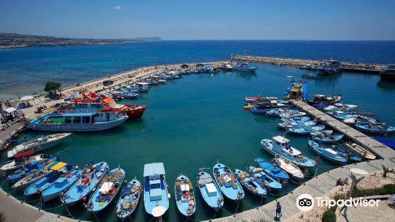 Ayia Napa Harbour
