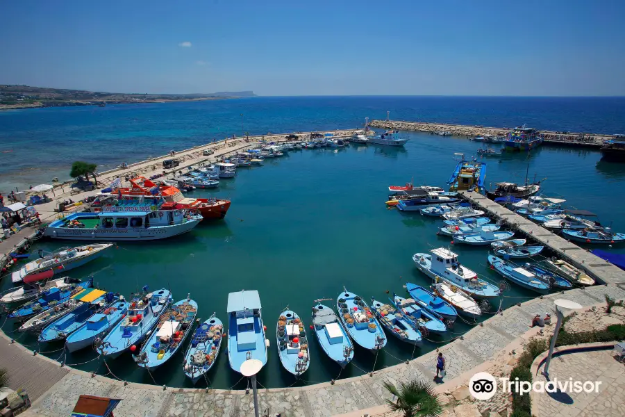 Ayia Napa Harbour