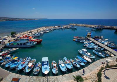 Ayia Napa Harbour
