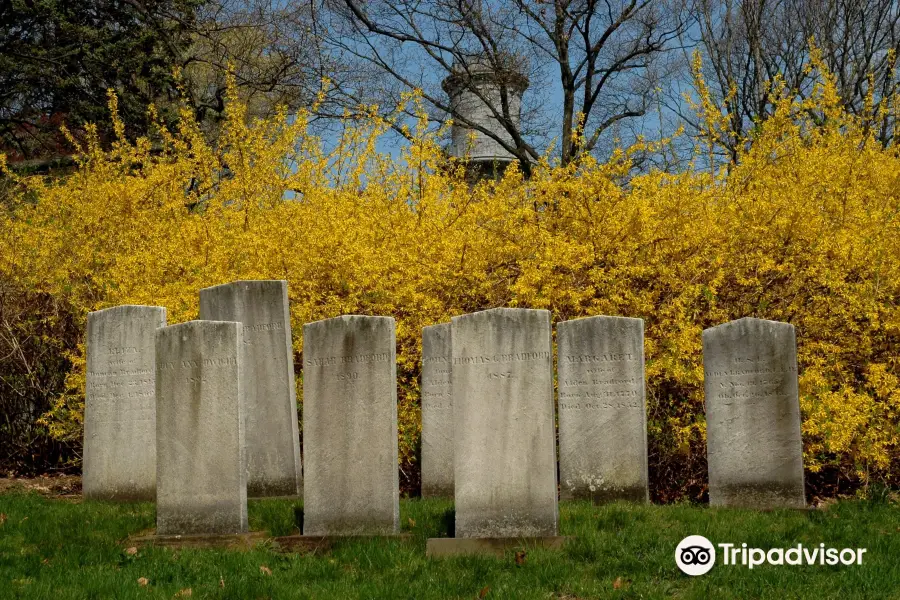 Mount Auburn Cemetery